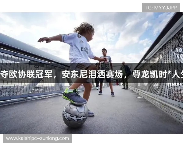 深入分析尊龙凯时官网登录的安全性，让你放心畅玩无忧